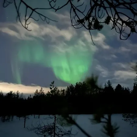 Orman Evi Elves Rovaniemi