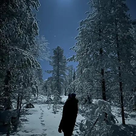 Little Elves Lodge Rovaniemi