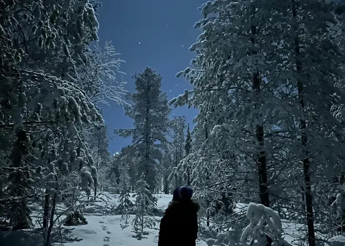 Little Elves Chata Rovaniemi